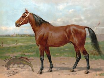 American Race Horse by Eerelman